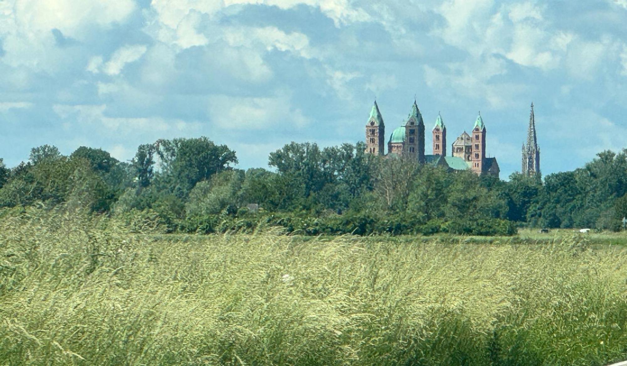 Ferienhaus Hoffmann Am Rheinbogen Altlußheim Kültér fotó